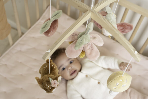 Giostrina musicale in legno - Fairy Garden FSC